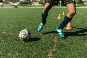 shin pads  shin pads